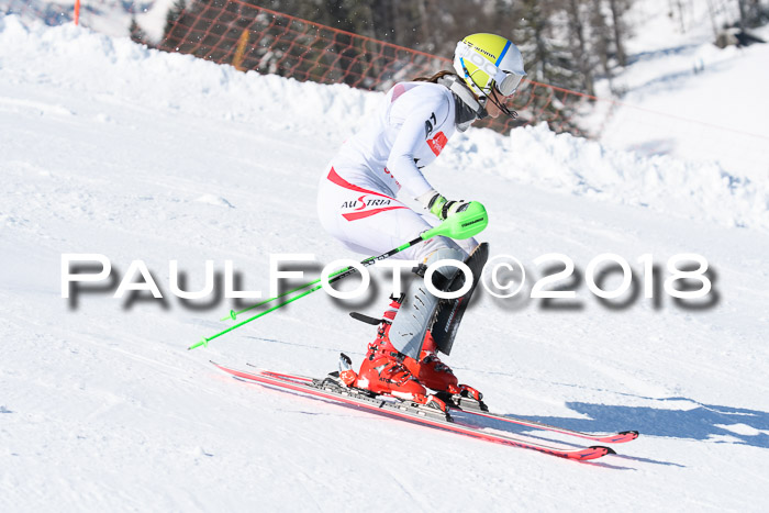 Int. Deutsche Meisterschaft Slalom 25.03.2018