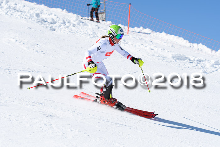 Int. Deutsche Meisterschaft Slalom 25.03.2018