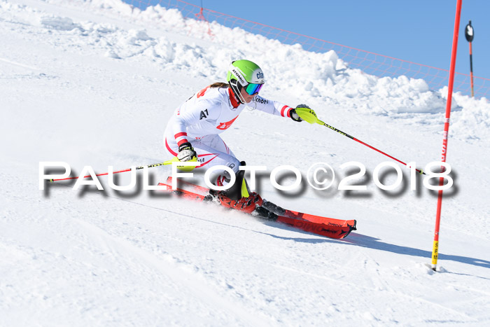 Int. Deutsche Meisterschaft Slalom 25.03.2018