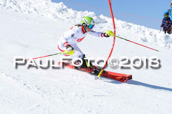 Int. Deutsche Meisterschaft Slalom 25.03.2018