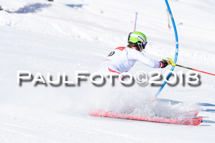 Int. Deutsche Meisterschaft Slalom 25.03.2018