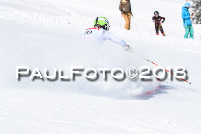 Int. Deutsche Meisterschaft Slalom 25.03.2018