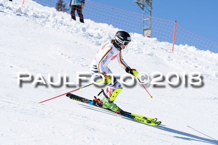 Int. Deutsche Meisterschaft Slalom 25.03.2018