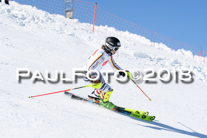 Int. Deutsche Meisterschaft Slalom 25.03.2018