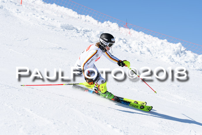 Int. Deutsche Meisterschaft Slalom 25.03.2018