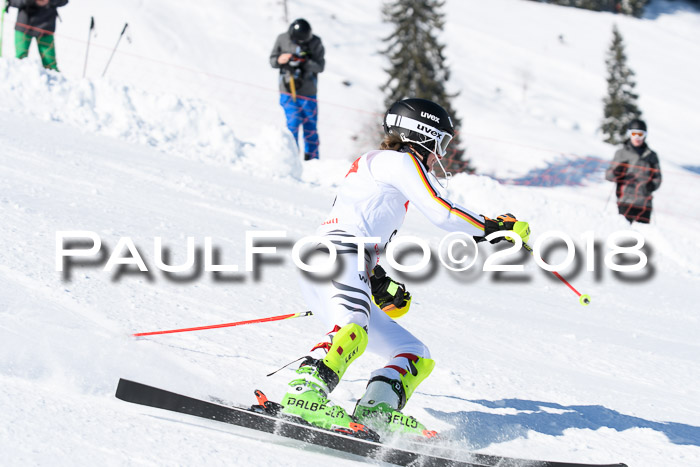 Int. Deutsche Meisterschaft Slalom 25.03.2018