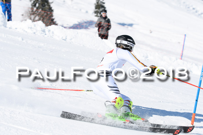 Int. Deutsche Meisterschaft Slalom 25.03.2018