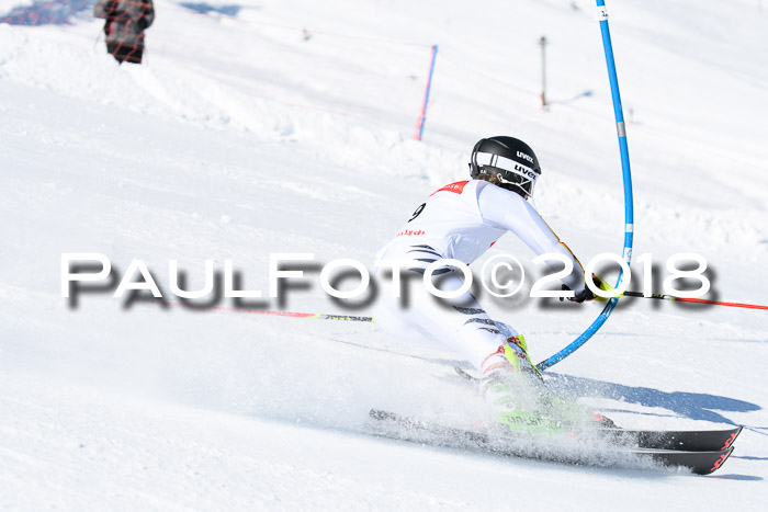 Int. Deutsche Meisterschaft Slalom 25.03.2018