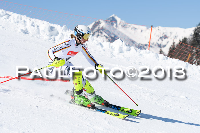 Int. Deutsche Meisterschaft Slalom 25.03.2018