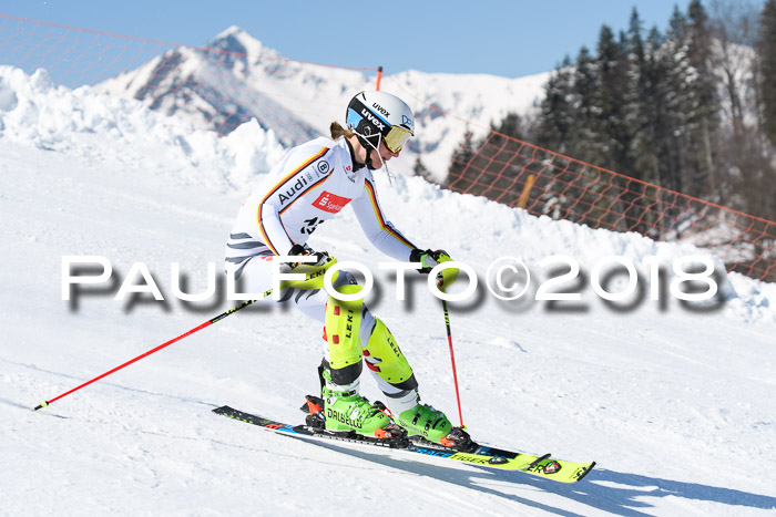 Int. Deutsche Meisterschaft Slalom 25.03.2018