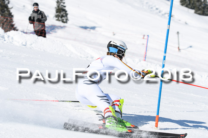 Int. Deutsche Meisterschaft Slalom 25.03.2018