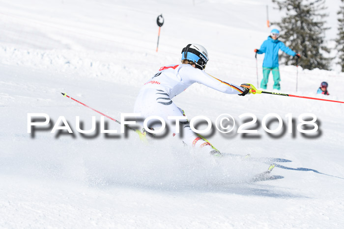 Int. Deutsche Meisterschaft Slalom 25.03.2018