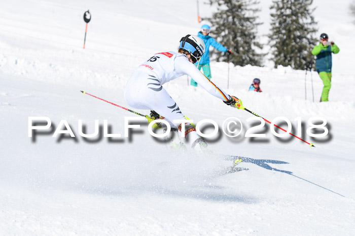 Int. Deutsche Meisterschaft Slalom 25.03.2018