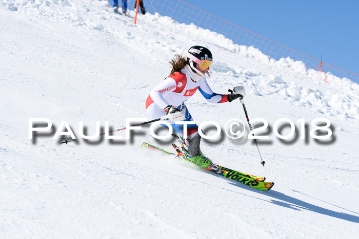 Int. Deutsche Meisterschaft Slalom 25.03.2018