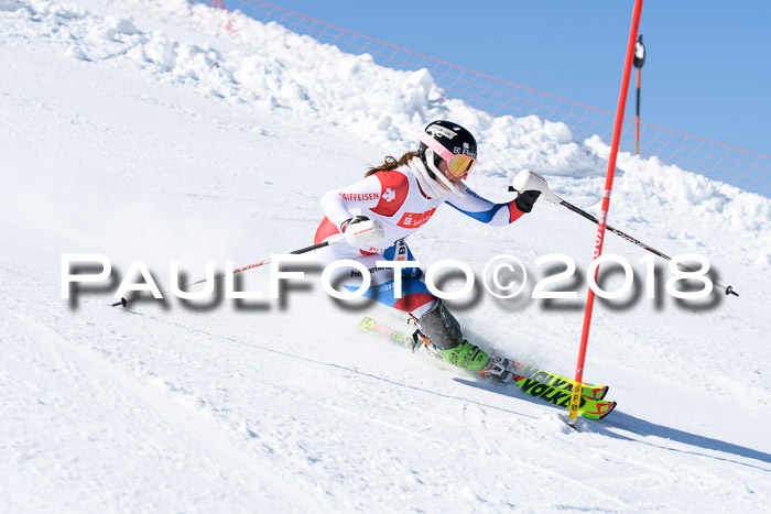 Int. Deutsche Meisterschaft Slalom 25.03.2018