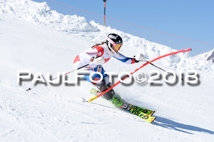 Int. Deutsche Meisterschaft Slalom 25.03.2018