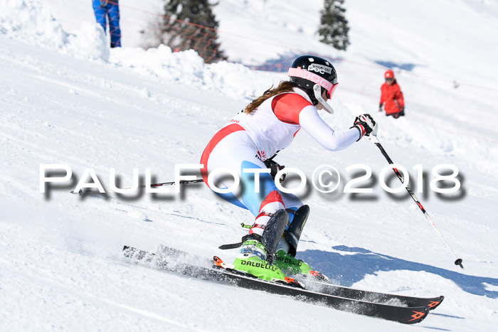 Int. Deutsche Meisterschaft Slalom 25.03.2018