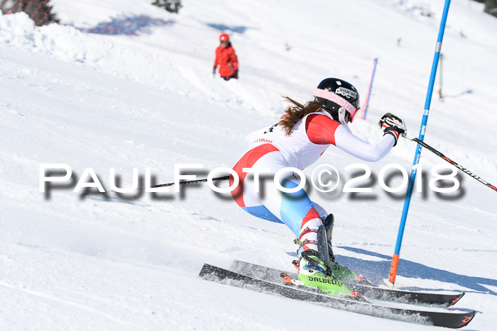 Int. Deutsche Meisterschaft Slalom 25.03.2018