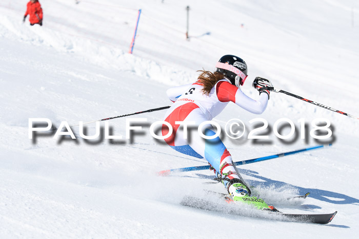 Int. Deutsche Meisterschaft Slalom 25.03.2018