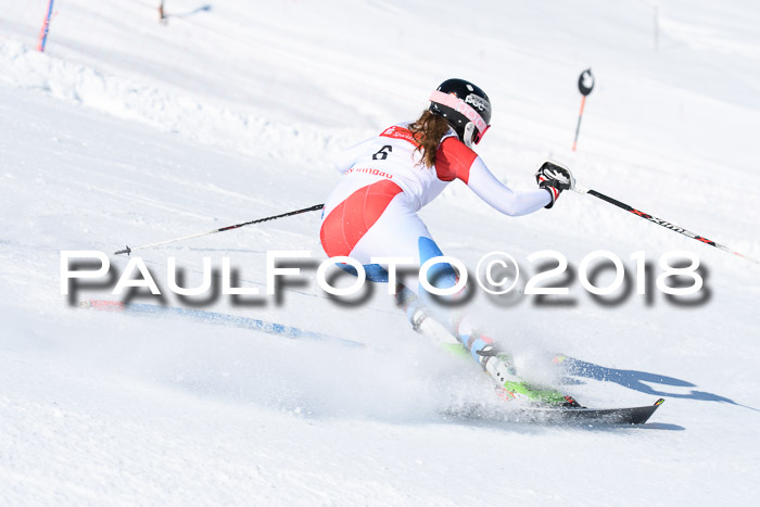 Int. Deutsche Meisterschaft Slalom 25.03.2018