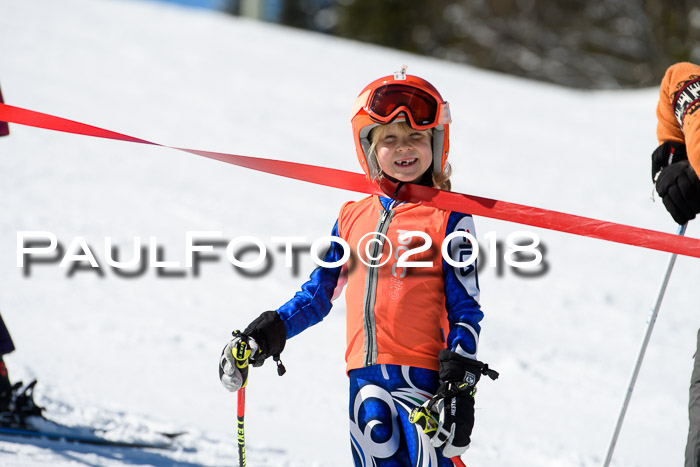 Ziener Cup WF, Finale, Quali + Parallelslalom, 24.03.2018