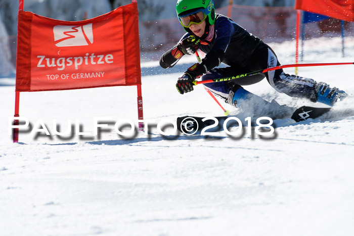 Ziener Cup WF, Finale, Quali + Parallelslalom, 24.03.2018