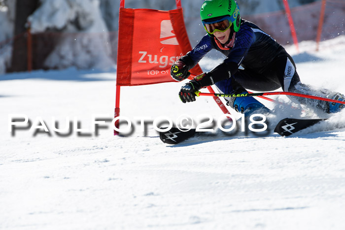 Ziener Cup WF, Finale, Quali + Parallelslalom, 24.03.2018