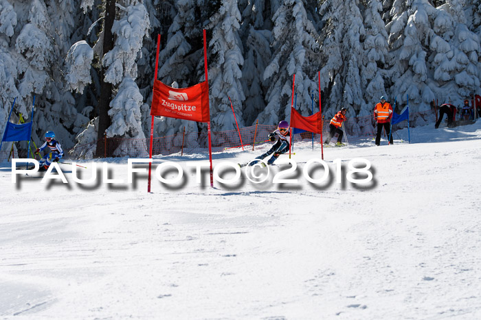 Ziener Cup WF, Finale, Quali + Parallelslalom, 24.03.2018