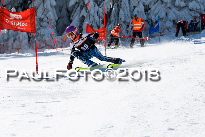 Ziener Cup WF, Finale, Quali + Parallelslalom, 24.03.2018