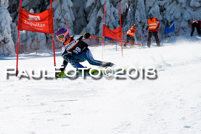 Ziener Cup WF, Finale, Quali + Parallelslalom, 24.03.2018