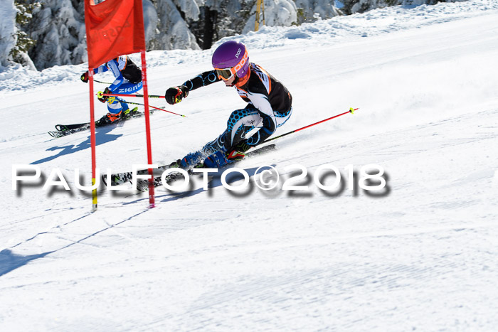 Ziener Cup WF, Finale, Quali + Parallelslalom, 24.03.2018