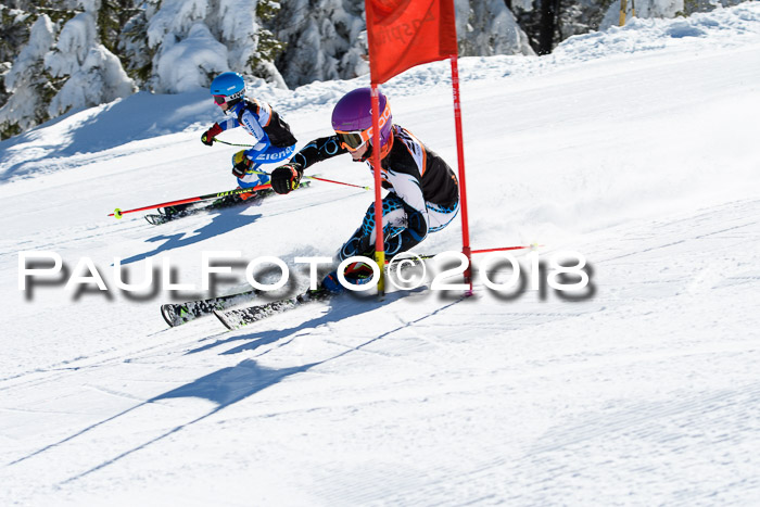 Ziener Cup WF, Finale, Quali + Parallelslalom, 24.03.2018