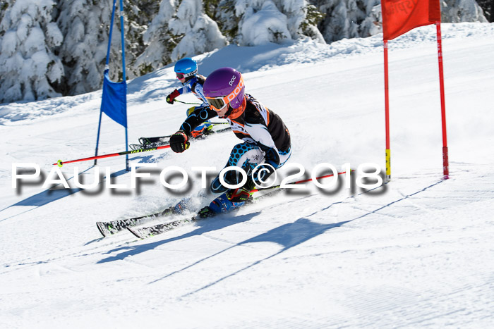 Ziener Cup WF, Finale, Quali + Parallelslalom, 24.03.2018