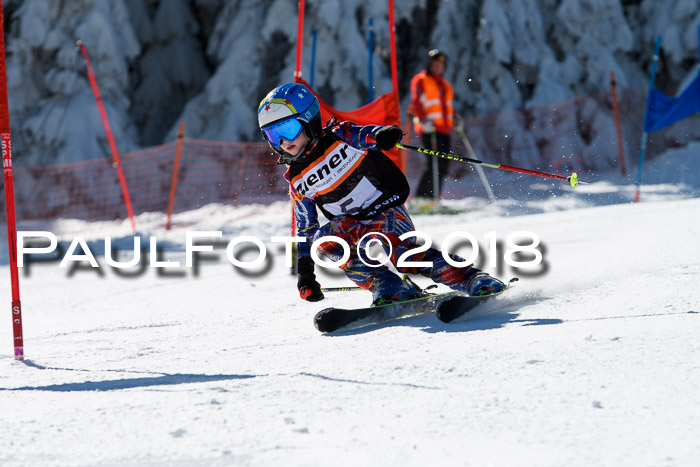 Ziener Cup WF, Finale, Quali + Parallelslalom, 24.03.2018