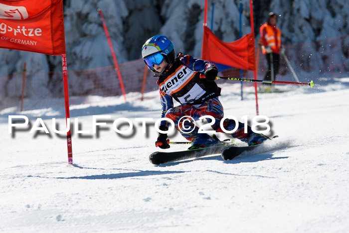 Ziener Cup WF, Finale, Quali + Parallelslalom, 24.03.2018