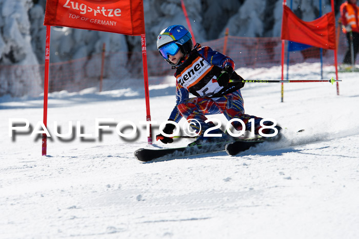 Ziener Cup WF, Finale, Quali + Parallelslalom, 24.03.2018