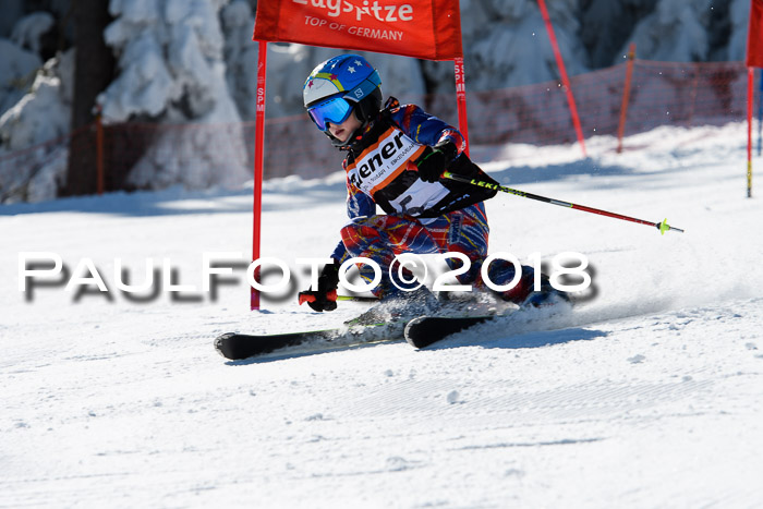 Ziener Cup WF, Finale, Quali + Parallelslalom, 24.03.2018