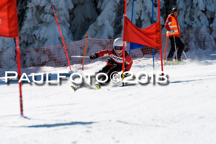 Ziener Cup WF, Finale, Quali + Parallelslalom, 24.03.2018