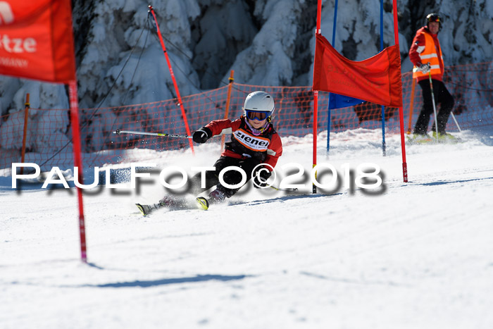 Ziener Cup WF, Finale, Quali + Parallelslalom, 24.03.2018