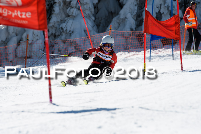 Ziener Cup WF, Finale, Quali + Parallelslalom, 24.03.2018