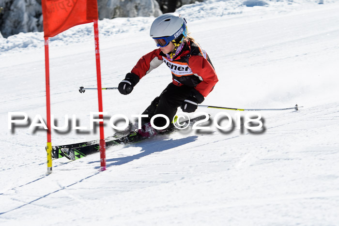 Ziener Cup WF, Finale, Quali + Parallelslalom, 24.03.2018