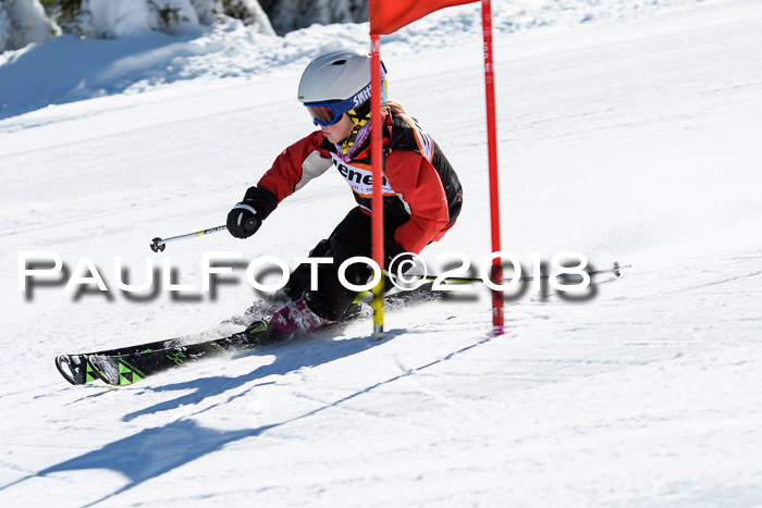 Ziener Cup WF, Finale, Quali + Parallelslalom, 24.03.2018