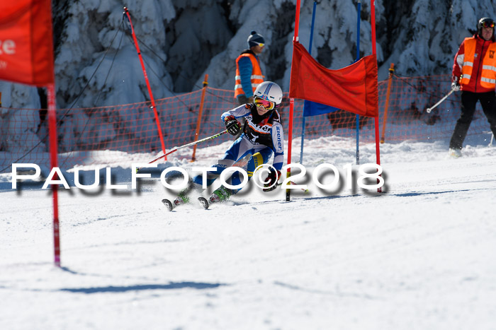 Ziener Cup WF, Finale, Quali + Parallelslalom, 24.03.2018