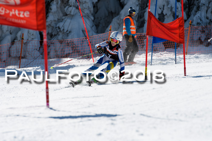 Ziener Cup WF, Finale, Quali + Parallelslalom, 24.03.2018