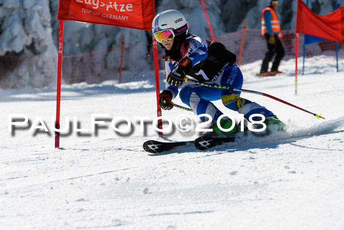 Ziener Cup WF, Finale, Quali + Parallelslalom, 24.03.2018