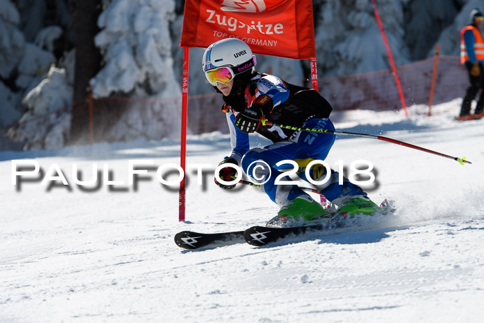Ziener Cup WF, Finale, Quali + Parallelslalom, 24.03.2018