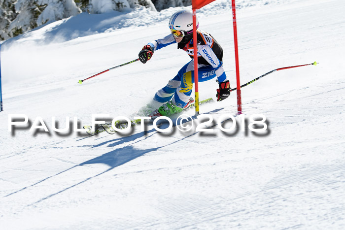 Ziener Cup WF, Finale, Quali + Parallelslalom, 24.03.2018