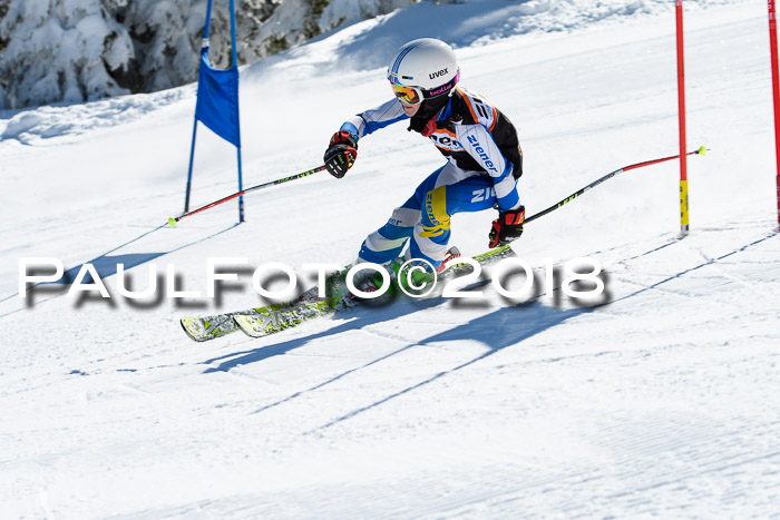Ziener Cup WF, Finale, Quali + Parallelslalom, 24.03.2018