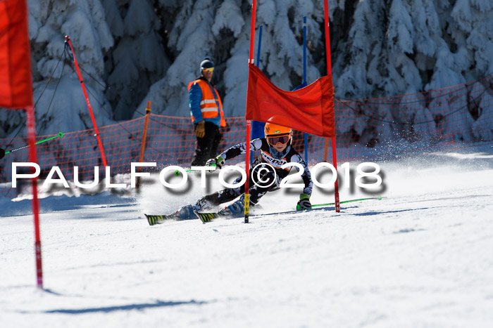 Ziener Cup WF, Finale, Quali + Parallelslalom, 24.03.2018