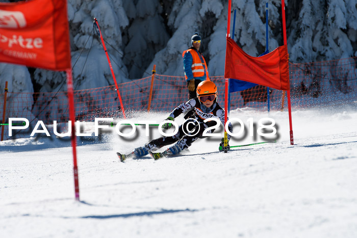Ziener Cup WF, Finale, Quali + Parallelslalom, 24.03.2018